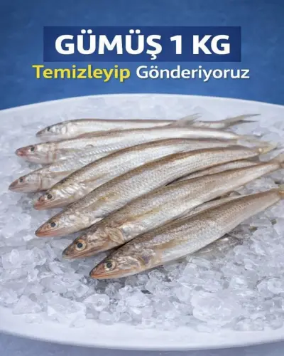 ETLİ GÜMÜŞ ROKA VE MISIR UNU HEDİYELİ