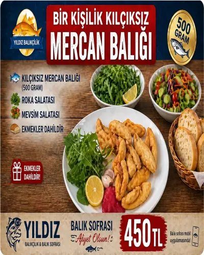 HARİKA FİLETO MERCAN