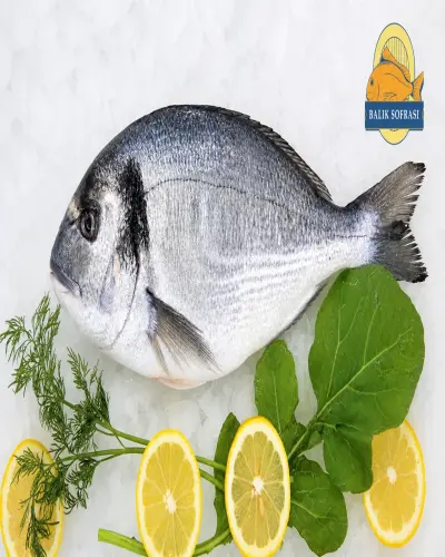 1 ADET ÇİPURA (500 GRAMLIK)