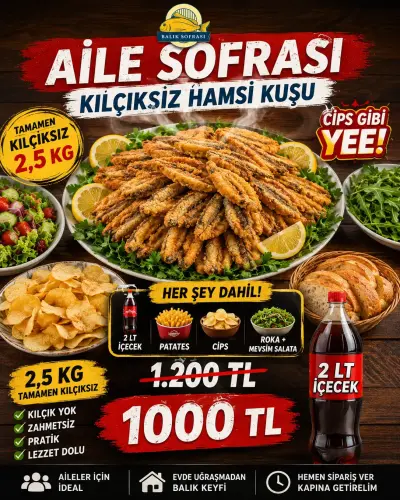 AİLE SOFRASI 2.5  HAMSİ KUŞU+Cips+2 LT şalgam