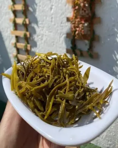 KAYA KORUĞU