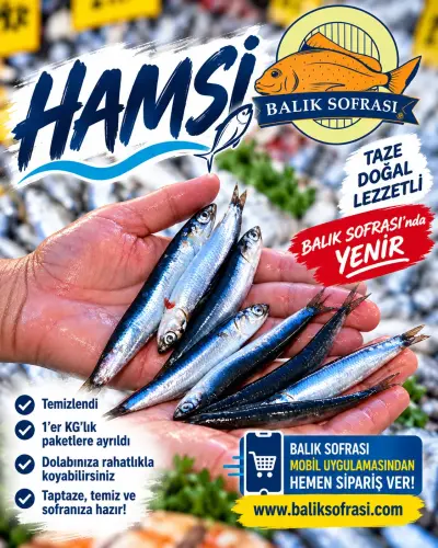 TAZE KARADENİZ HAMSİ