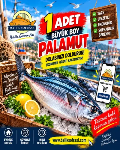 1 ADET BÜYÜK BOY TAZE PALAMUT