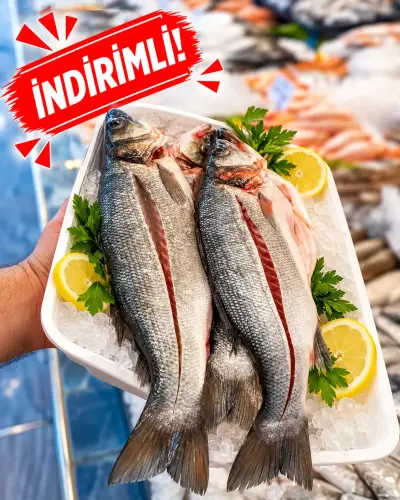 2 ADET TAZE LEVREK