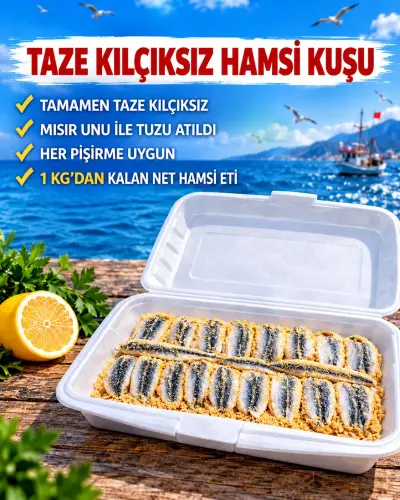 Taze Kılçıksız Hamsi Kuşu