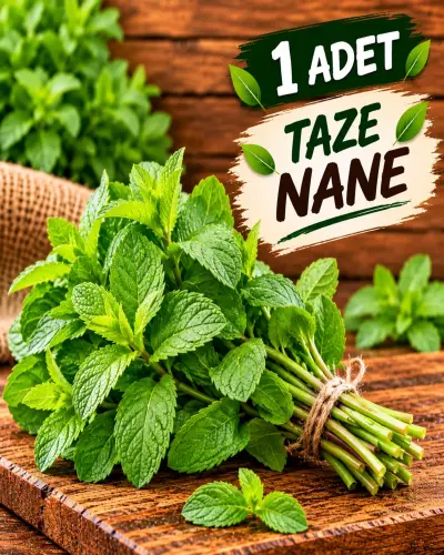 1 ADET TAZE NANE