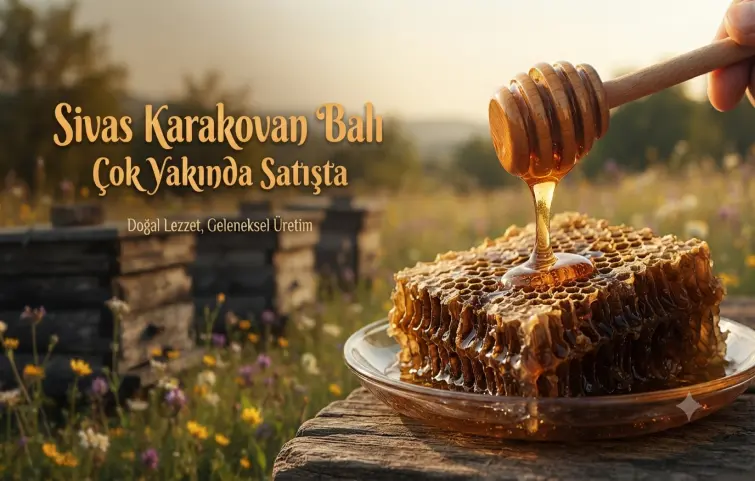ÇOK YAKINDA SİVAS YAYLA BALIMIZ SATIŞA SUNULACAK